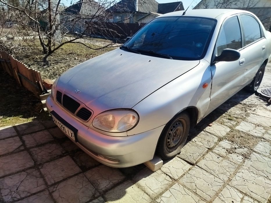 ПРОДАМ  Лайнос поляк