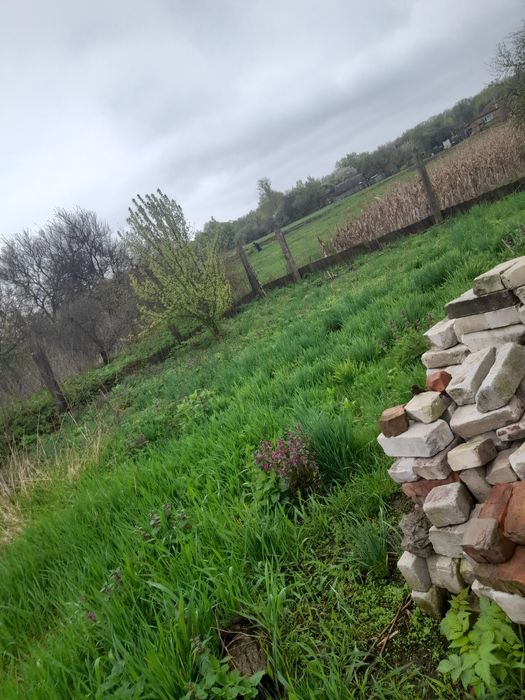 Здам будинок в оренду