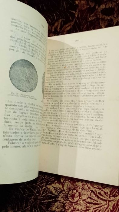 Tratado Pratico de Vinificação 1909 M. Rodrigues de Moraes