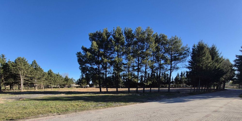 działka budowlana w Braniewie