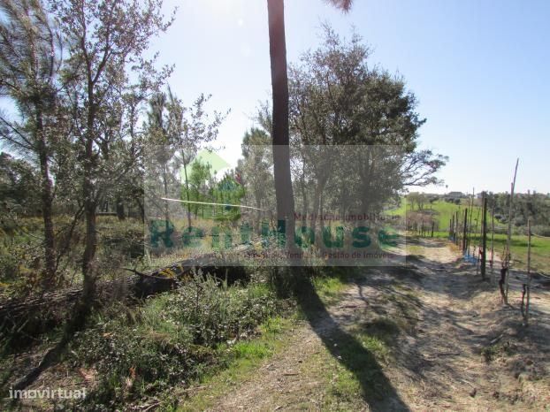 Terreno Para Construção Junto a Coimbra