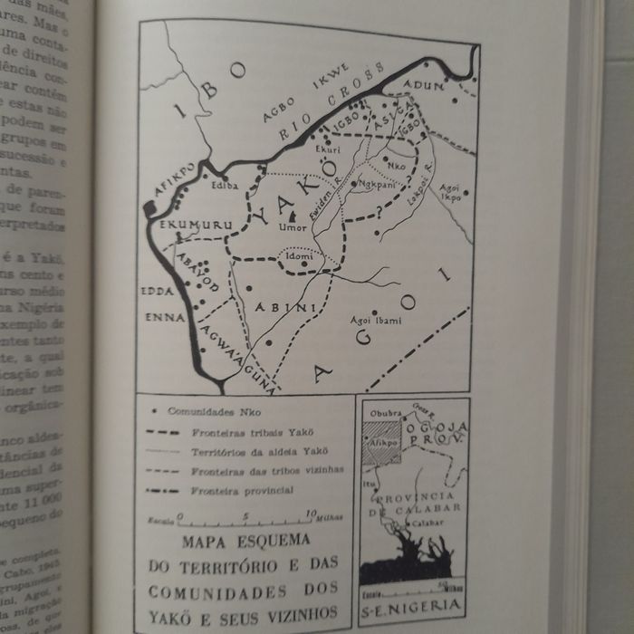 Sistemas Políticos Africanos de Parentesmo e Família.