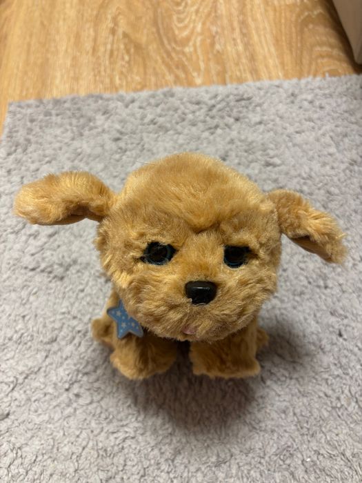 Інтерактивна іграшка собачка Moose Little Live Pets My Dream Puppy