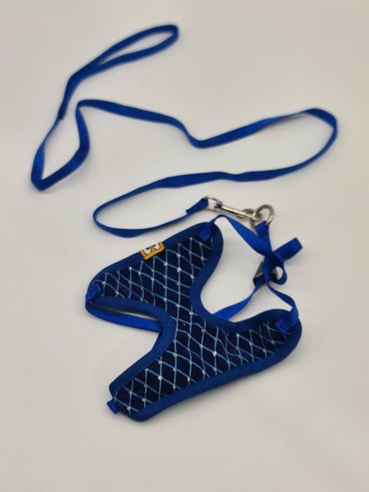 Trela para cão de pequeno porte azul