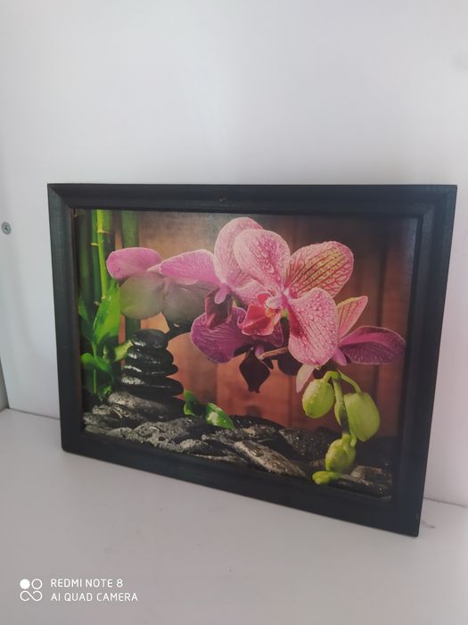 Obraz z ramką wymiary 27 x 20