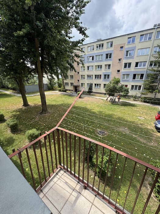 Zdjęcie 8