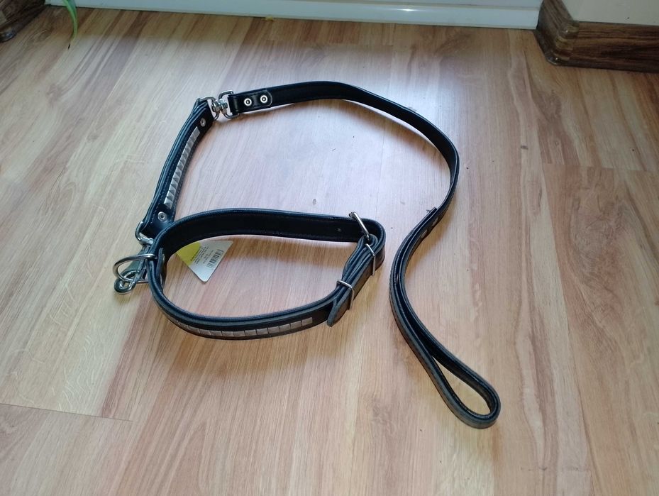 Smycz zobrożą duży pies+GRATIS