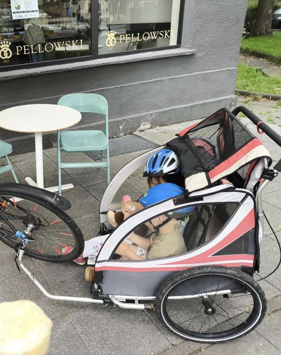 Przyczepka rowerowa 2-osobowa