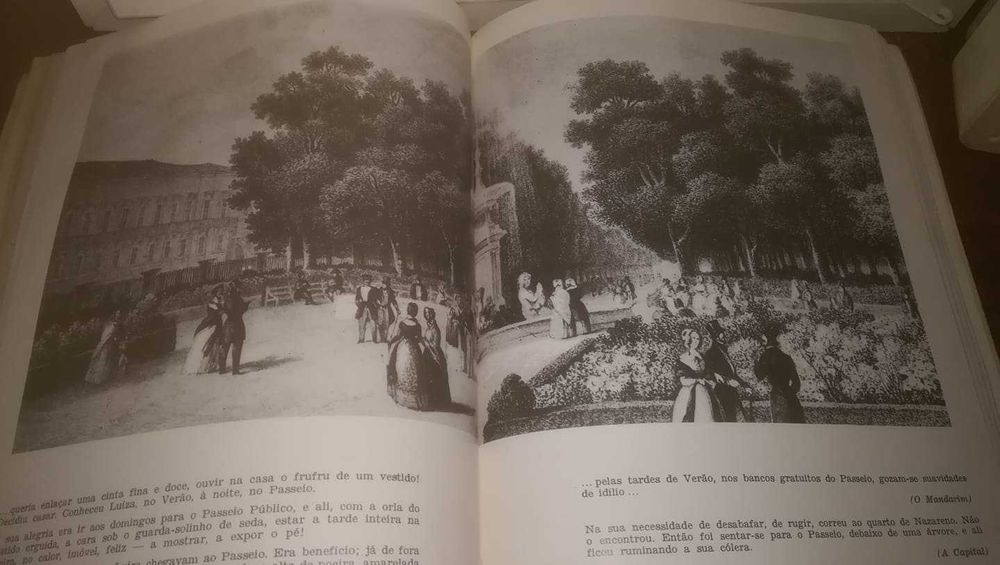 Imagens de Portugal Queirosiano - Campos Matos