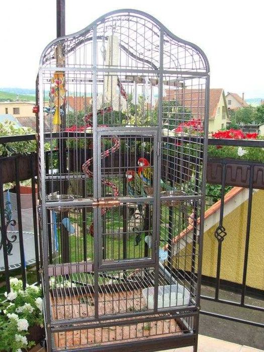 Зовнішні розміри (Д х Ш х В): 81 х 78 х 165 см, для жако,какаду,монах