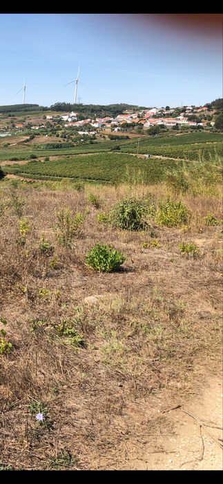 Terreno Rustico e urbano