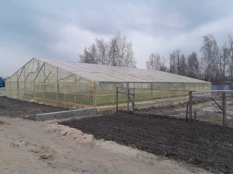 Оренда або продаж теплиці 300кв.м