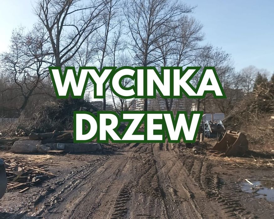 WYCINKA DRZEW/Odbiór drewna i gałęzi