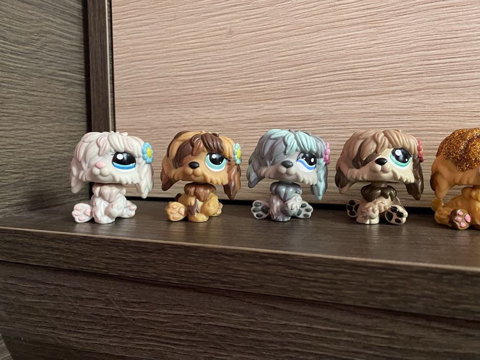 LPS Littlest pet shop psy zestaw