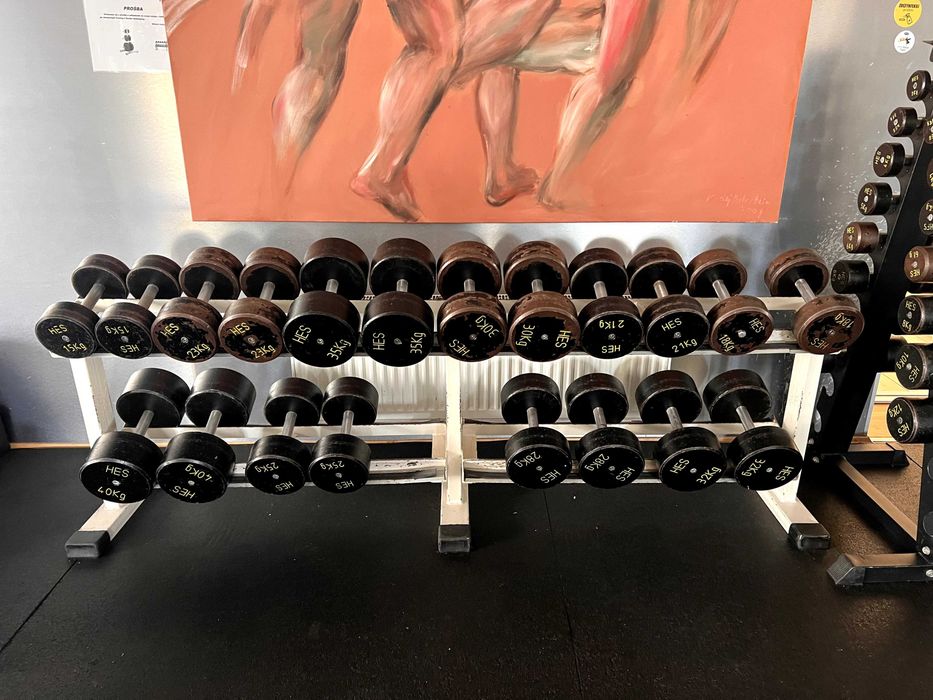 Wyposażenie siłowni komplet: Cybex, HES, TechnoGym, hantle 634 kg