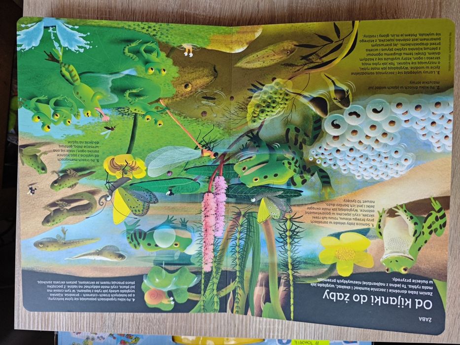 Co i jak rośnie w świecie przyrody