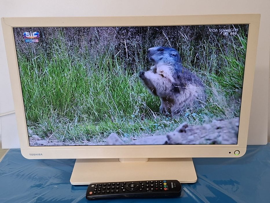 Televisão Toshiba Ecrã LED FULL HD de 22 Polegladas, Modelo 22L354G | 50 Watts | C/ Comando Original | Tudo Impecável