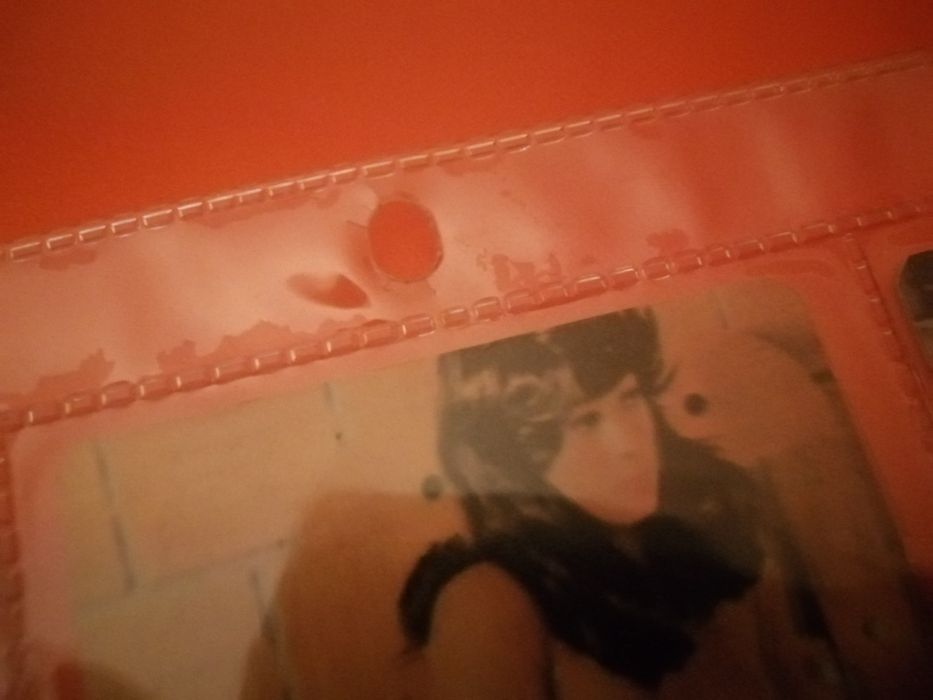 Calendários Eróticos (1984)