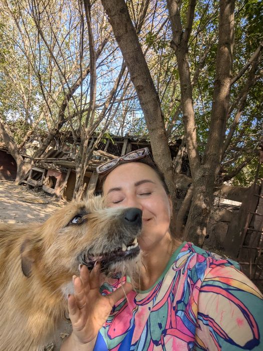 Песик Тобіас шукає сім'ю