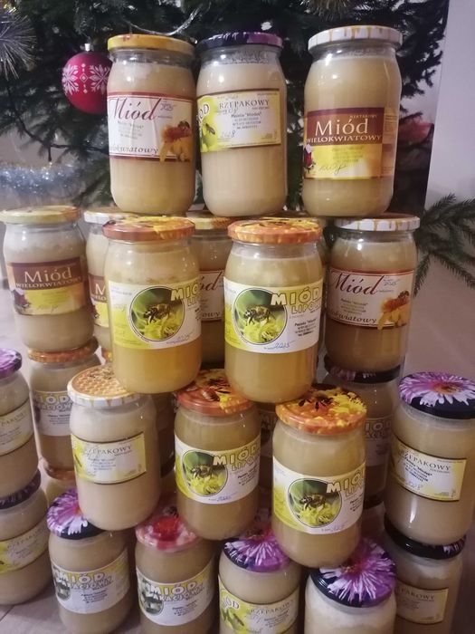 Miód 100 %naturalny 3 szt. słoików