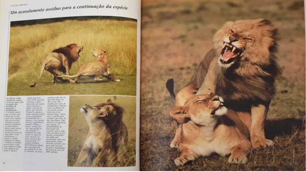 "Vida Selvagem : Animais das Savana" - Selecoes Reader's Digest