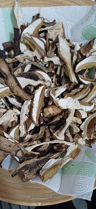 Grzyby suszone tegoroczne