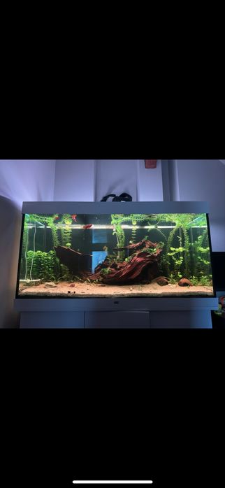 Akwarium juwel rio 350 pełen zestaw