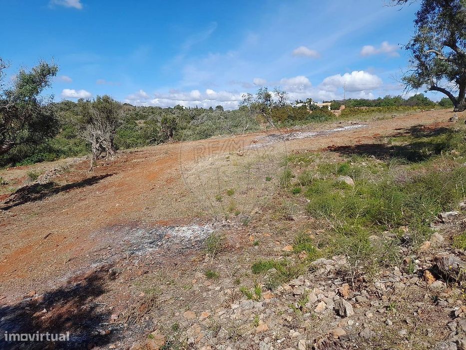 Terreno  para venda