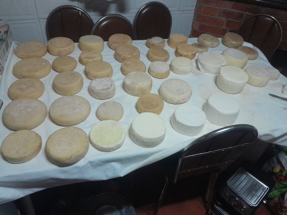 Queijo caseiro de cabra serra da estrela