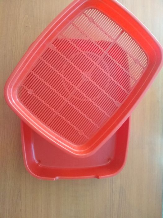 Новый лоток для котика