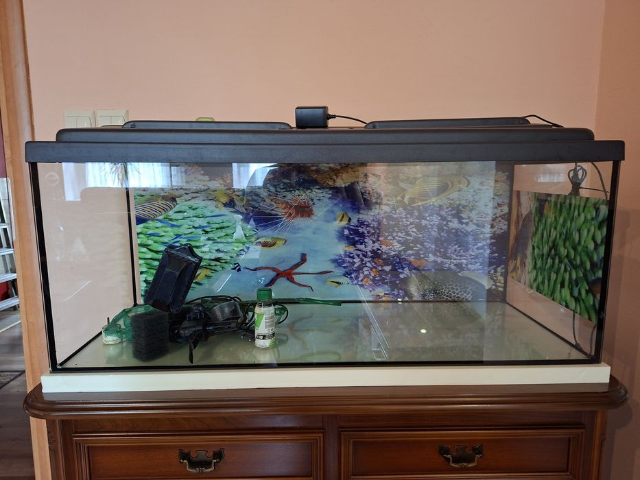 Akwarium 240L proste  120x40x50 z pokrywą + zestaw akcesoriów