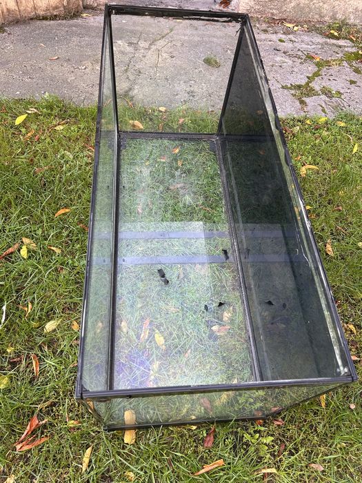 Akwarium  jako terrarium