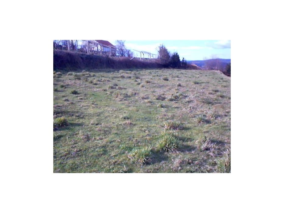 Terreno para construção em Infesta — Infesta, Viana do Castelo