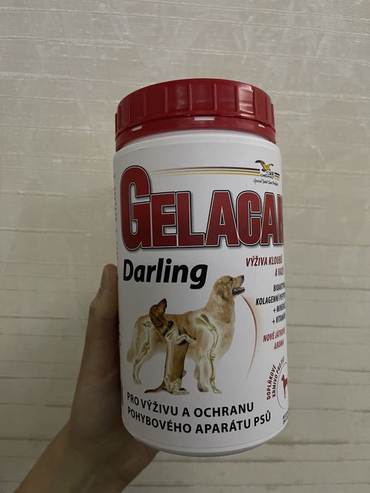 Гелакан Orling Gelacan Darling оригінал