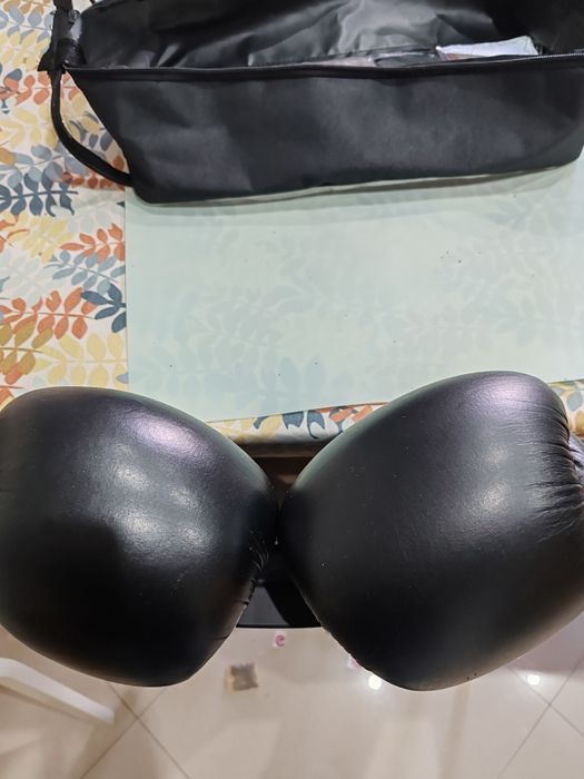 Leone 1947 Ambassador