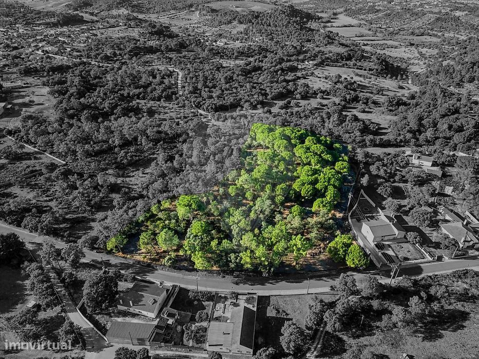 Terreno  para venda