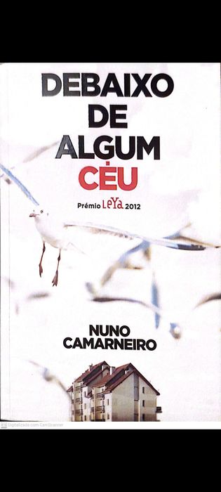 Livro: Debaixo de algum céu