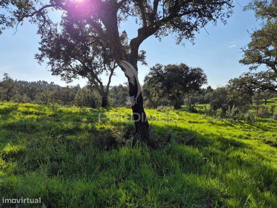 Terreno rústico no Alentejo – natureza, tranquilidade e potencial d...