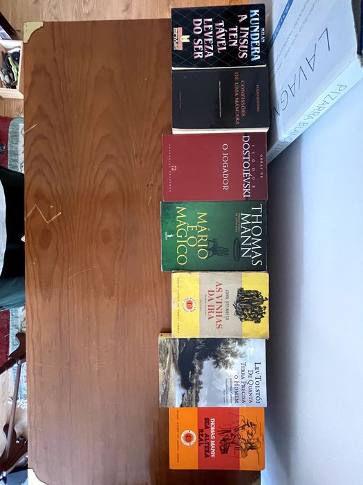 Conjunto de vários livros em bom estado