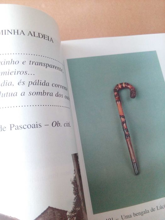 Maria Natália Almeida D´Eça