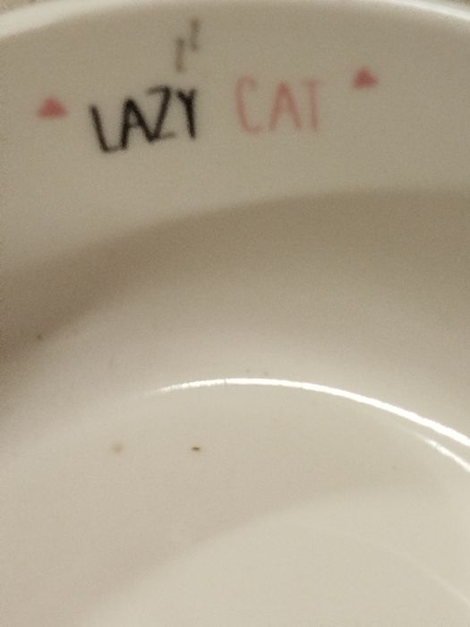 Nowe białe ceramiczne miski dla kota