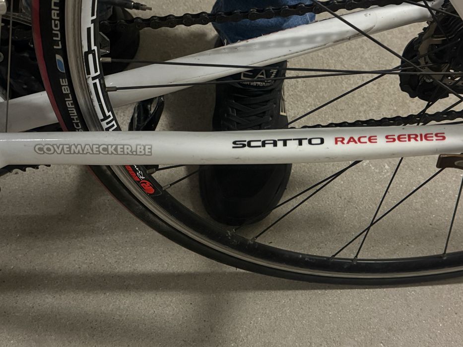Rower szosowy Scatto Linea , widelec Carbon