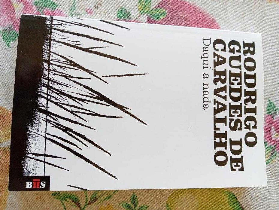 "Daqui a nada" de Rodrigo Guedes de Carvalho