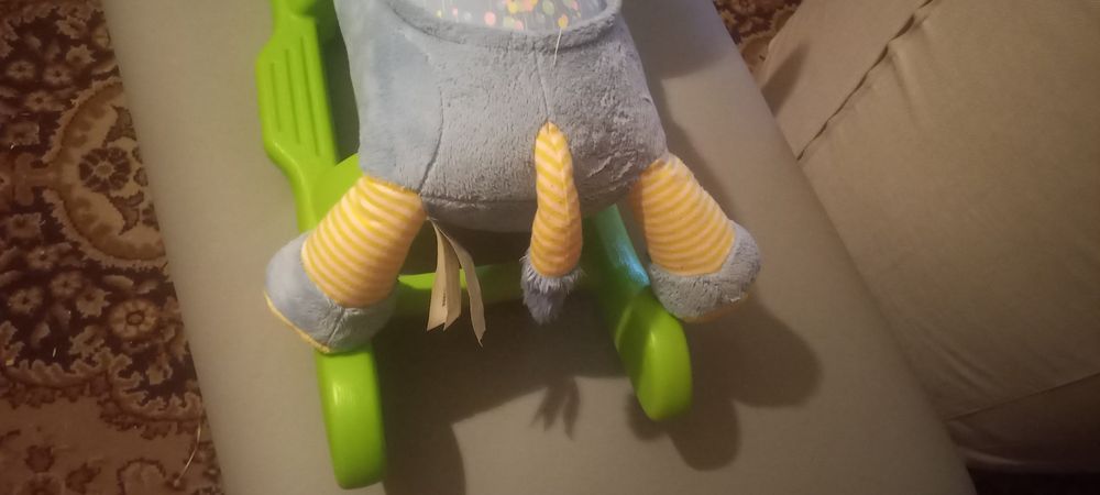 Słonik na biegunach