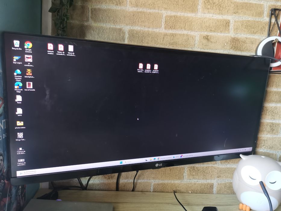 Monitor LG de 30 polegadas