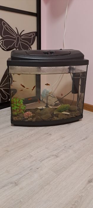 Продаж акваріума на 65л