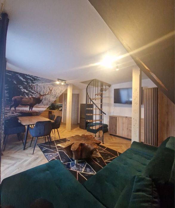 Studia i Apartamenty Wierchy Zakopane  Noclegi w Zakopanem