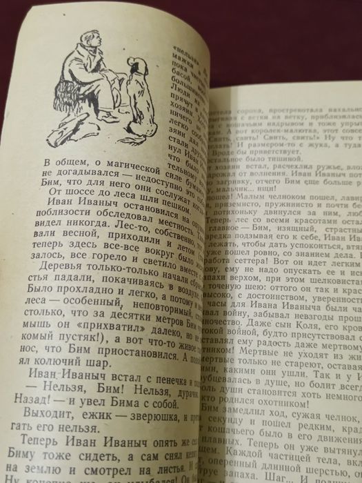 Книга. Белый Бим чёрное ухо. 1985 год. Киев. Веселка.