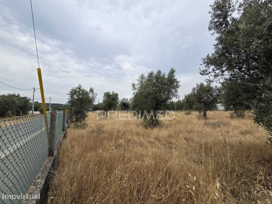 Lote de Terreno