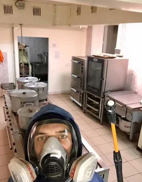 Уничтожение блох и клещей в доме обработка мебели ковров животных зон